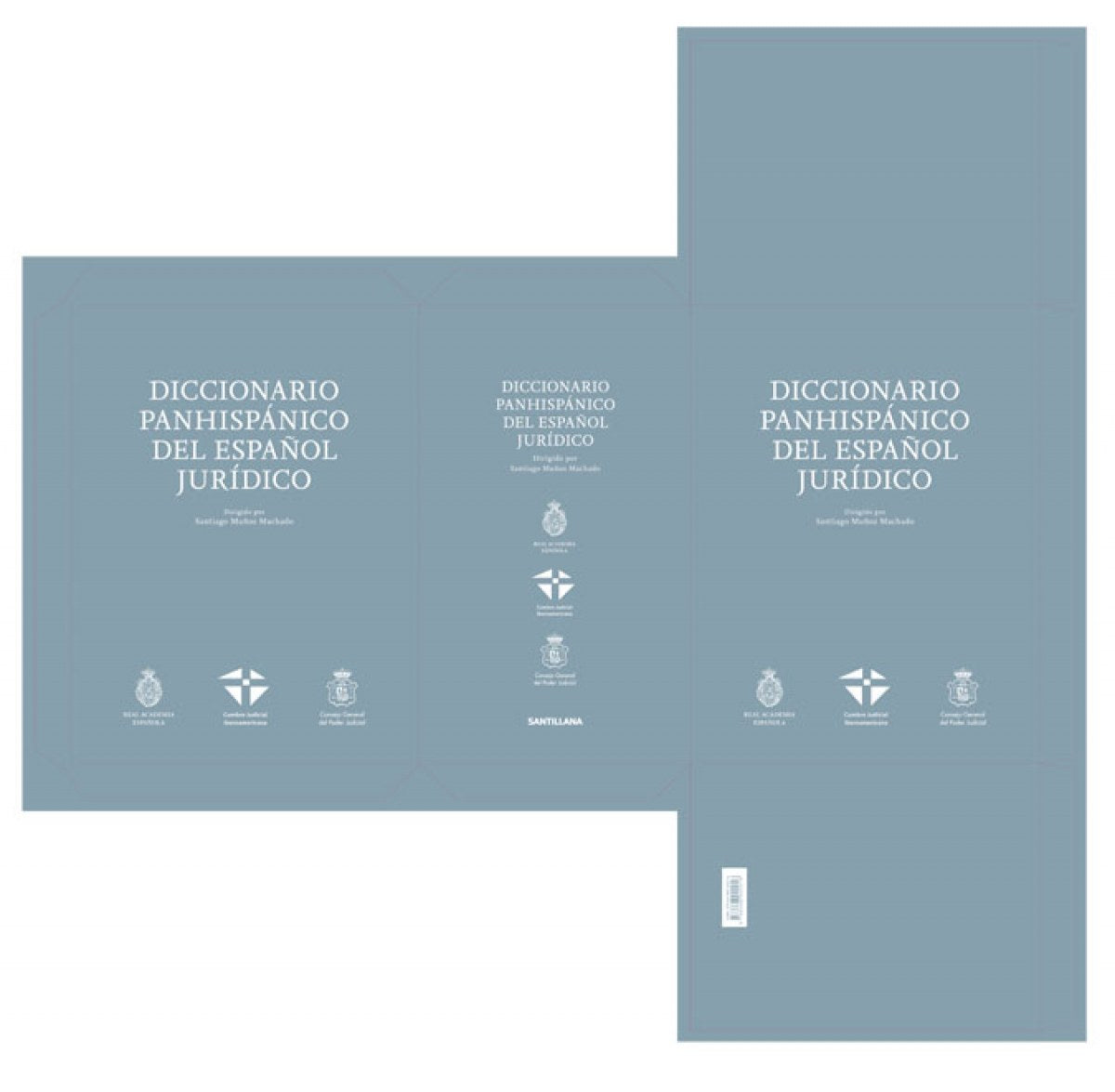 Explorando el Panhispánico de la RAE: Tu Guía Lingüística en Español